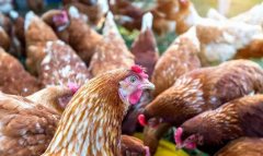 出現(xiàn)咳嗽呼嚕流鼻涕？秋天常發(fā)病你都不知道怎