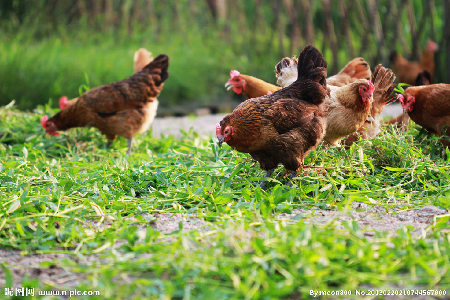 近期晝夜溫差較大，慢性呼吸道又開始猖獗了！